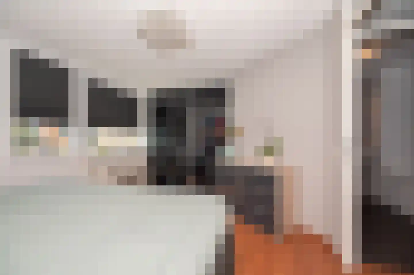 Douschans 12 Zoetermeer thumbnail 18