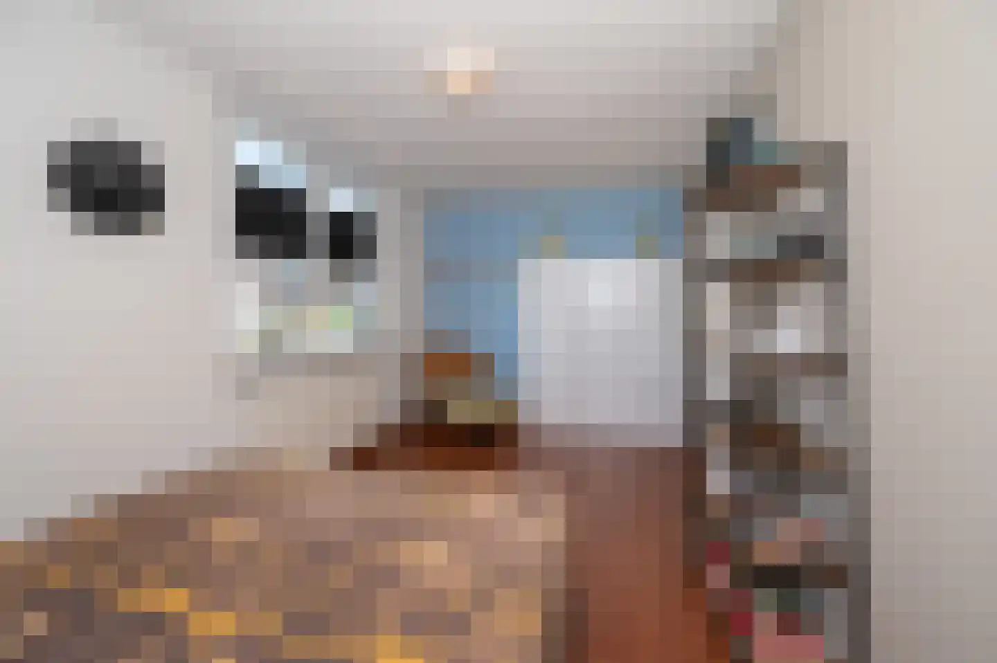 Douschans 12 Zoetermeer thumbnail 23