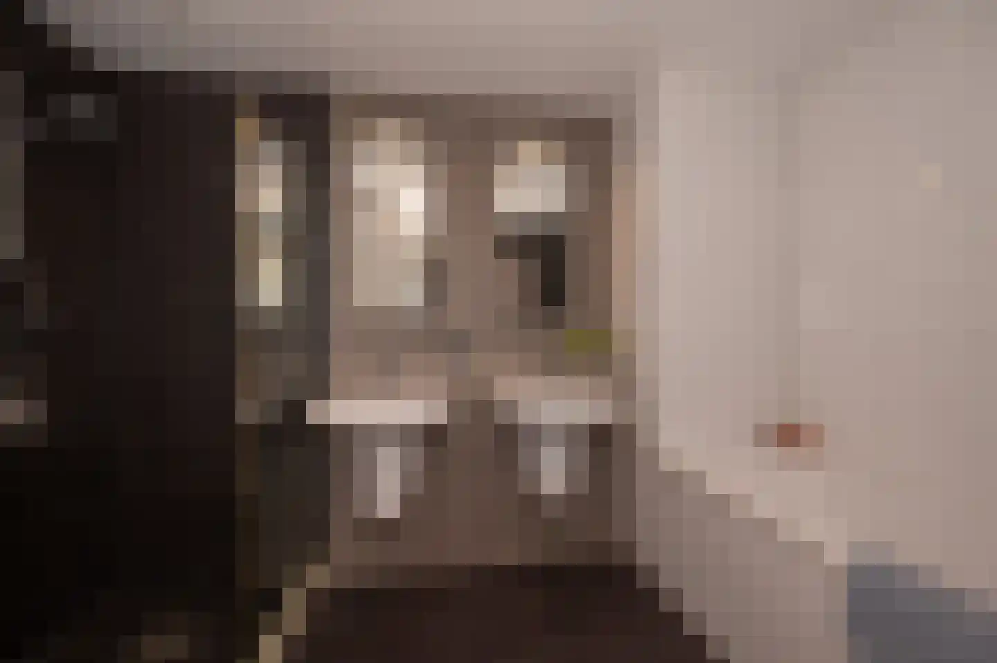 Douschans 12 Zoetermeer thumbnail 24