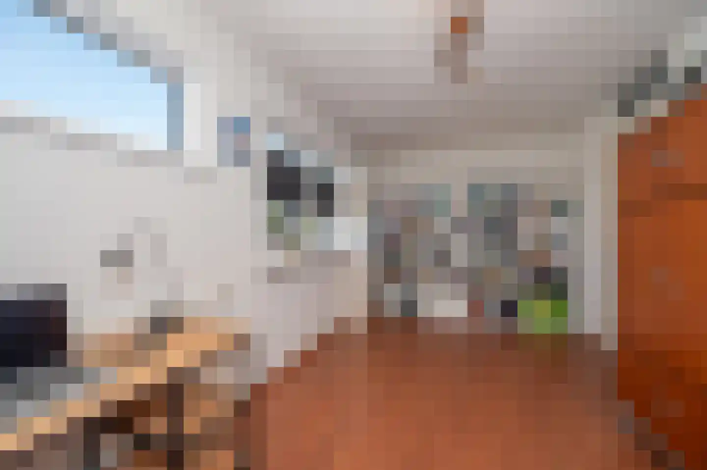 Douschans 12 Zoetermeer thumbnail 33