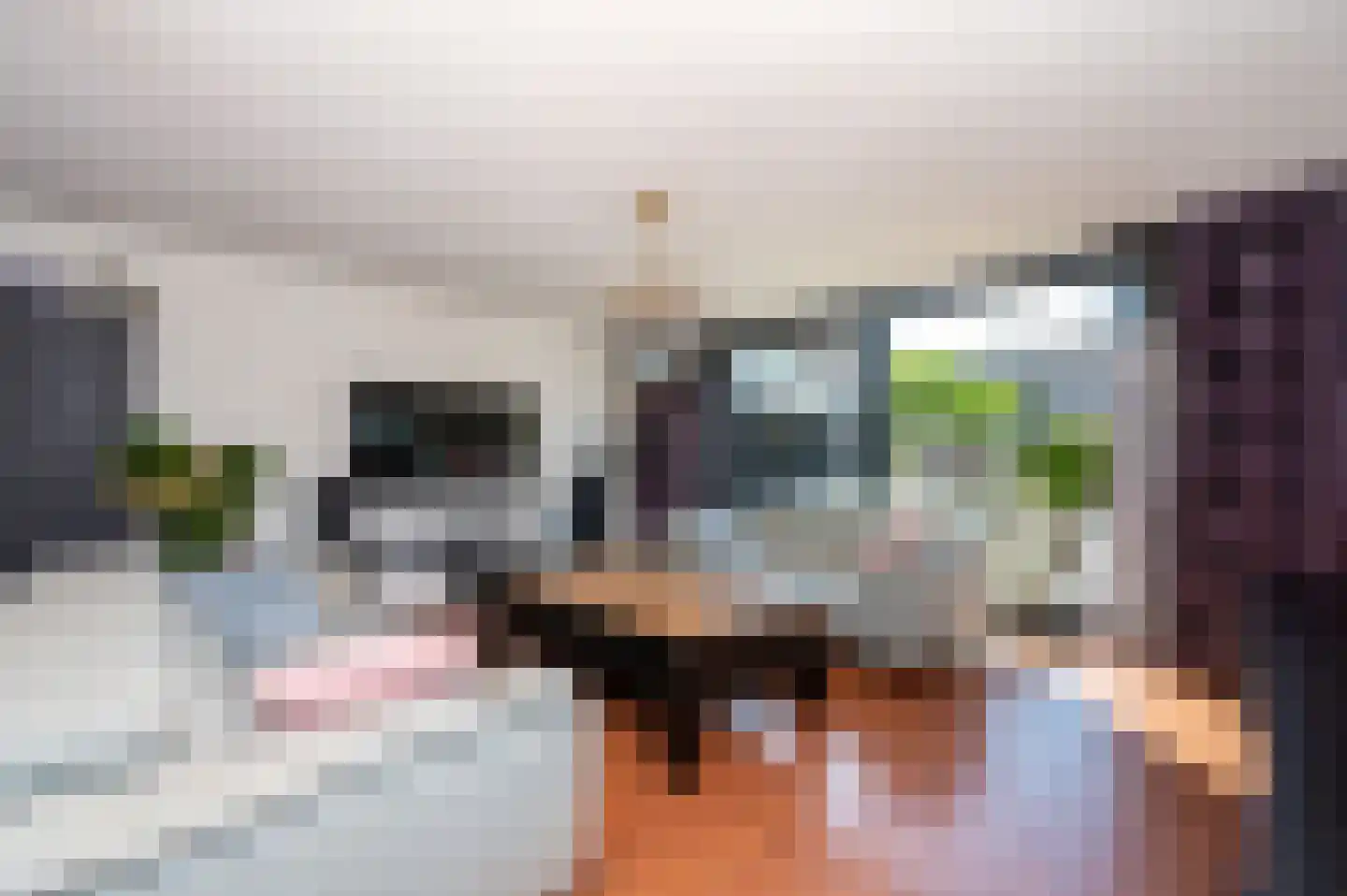 Douschans 12 Zoetermeer thumbnail 8