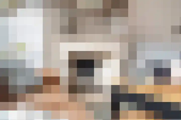 Douschans 6 Zoetermeer thumbnail 13
