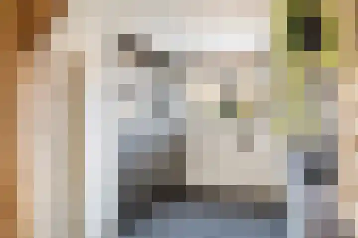 Douschans 6 Zoetermeer thumbnail 19