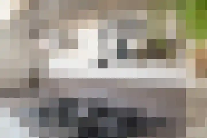 Douschans 6 Zoetermeer thumbnail 20
