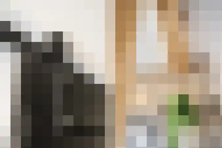 Douschans 6 Zoetermeer thumbnail 21