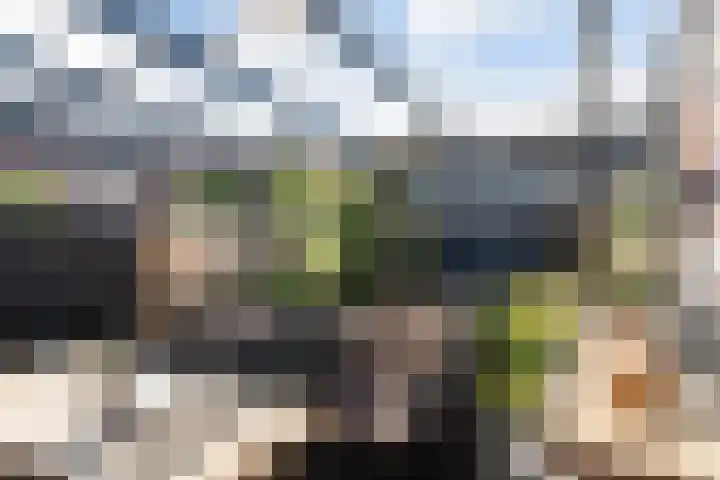 Douschans 6 Zoetermeer thumbnail 27