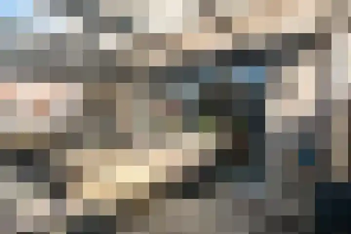 Douschans 6 Zoetermeer thumbnail 28