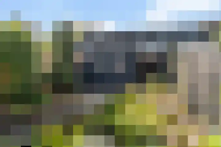 Douschans 6 Zoetermeer thumbnail 29
