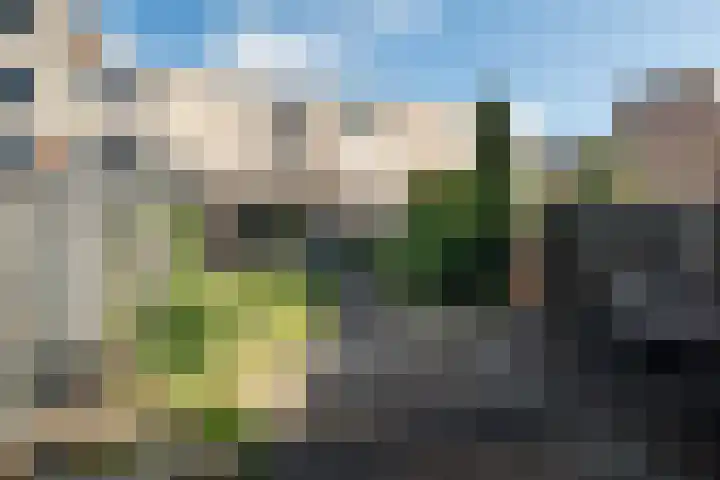 Douschans 6 Zoetermeer thumbnail 31