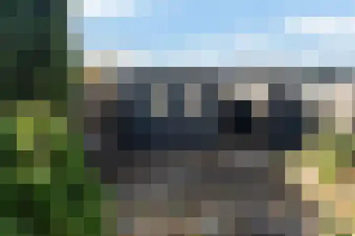 Douschans 6 Zoetermeer thumbnail 32