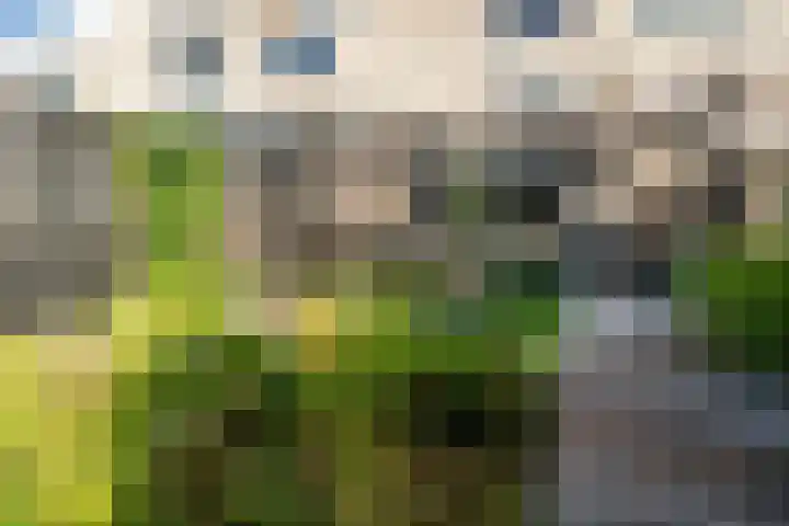 Douschans 6 Zoetermeer thumbnail 33