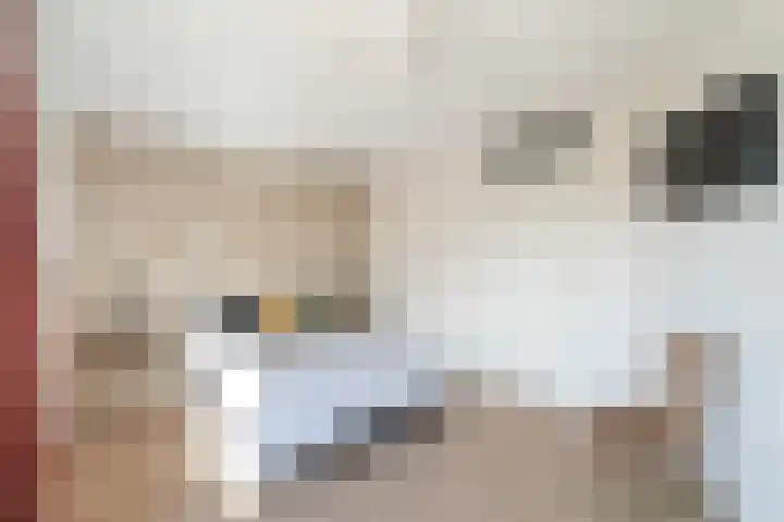 Douschans 6 Zoetermeer thumbnail 40
