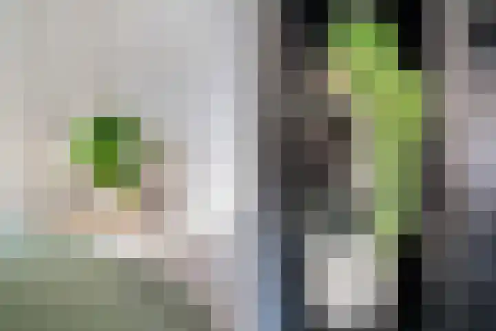 Douschans 6 Zoetermeer thumbnail 49