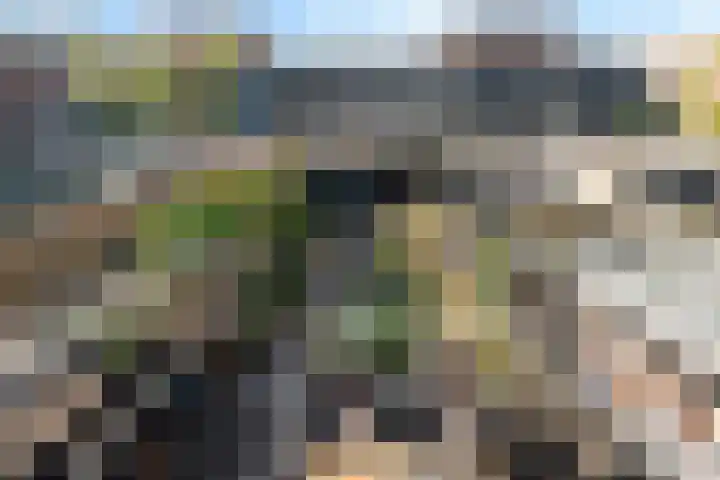 Douschans 6 Zoetermeer thumbnail 5
