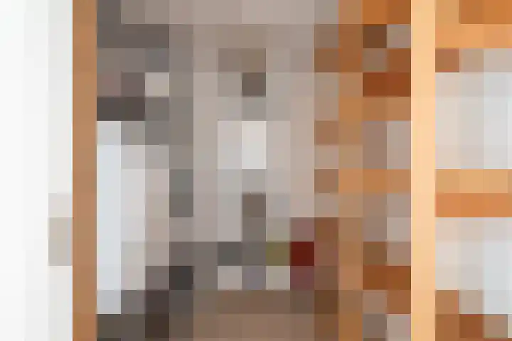 Douschans 6 Zoetermeer thumbnail 53