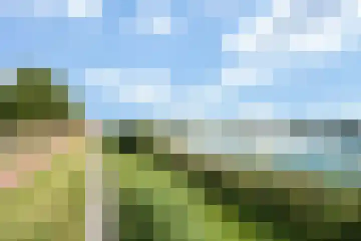 Douschans 6 Zoetermeer thumbnail 57