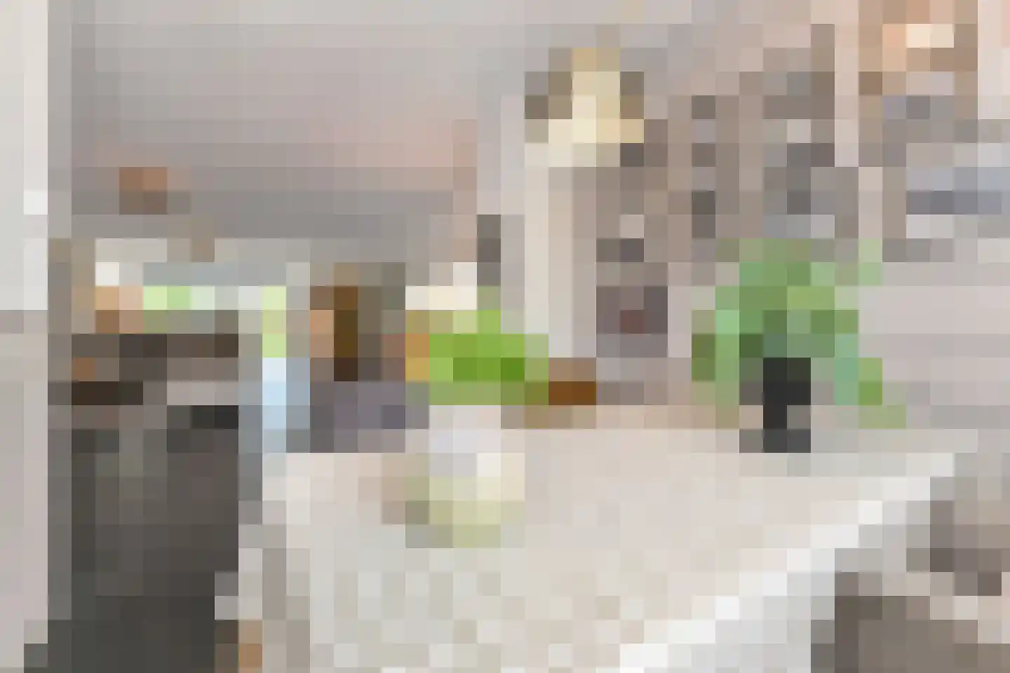 Douschans 9 Zoetermeer thumbnail 10