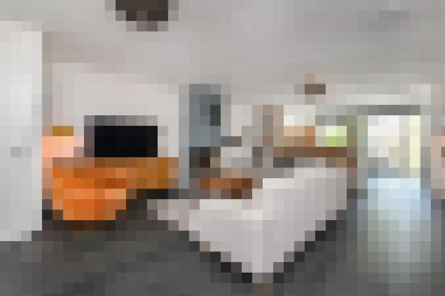 Douschans 9 Zoetermeer thumbnail 13