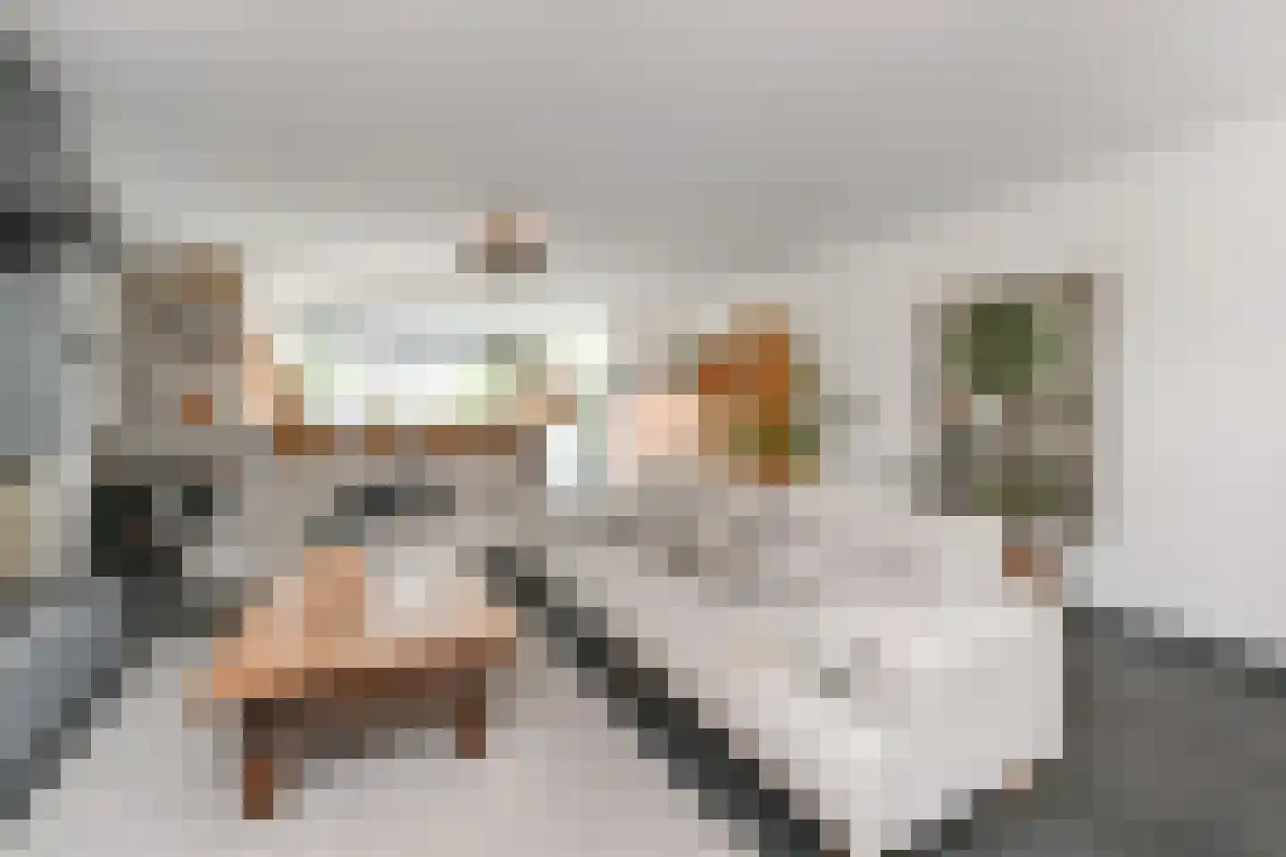 Douschans 9 Zoetermeer thumbnail 14