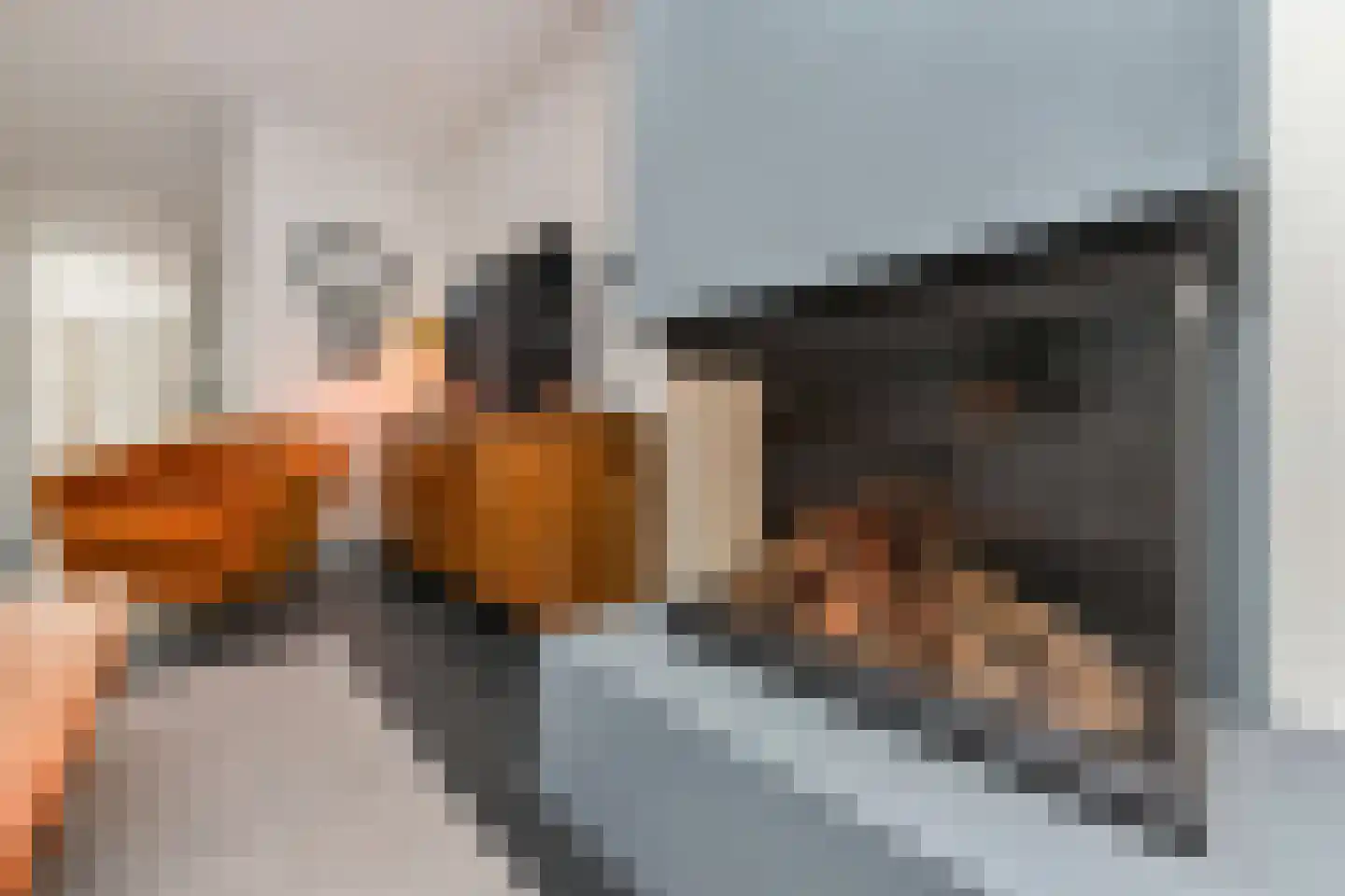 Douschans 9 Zoetermeer thumbnail 15