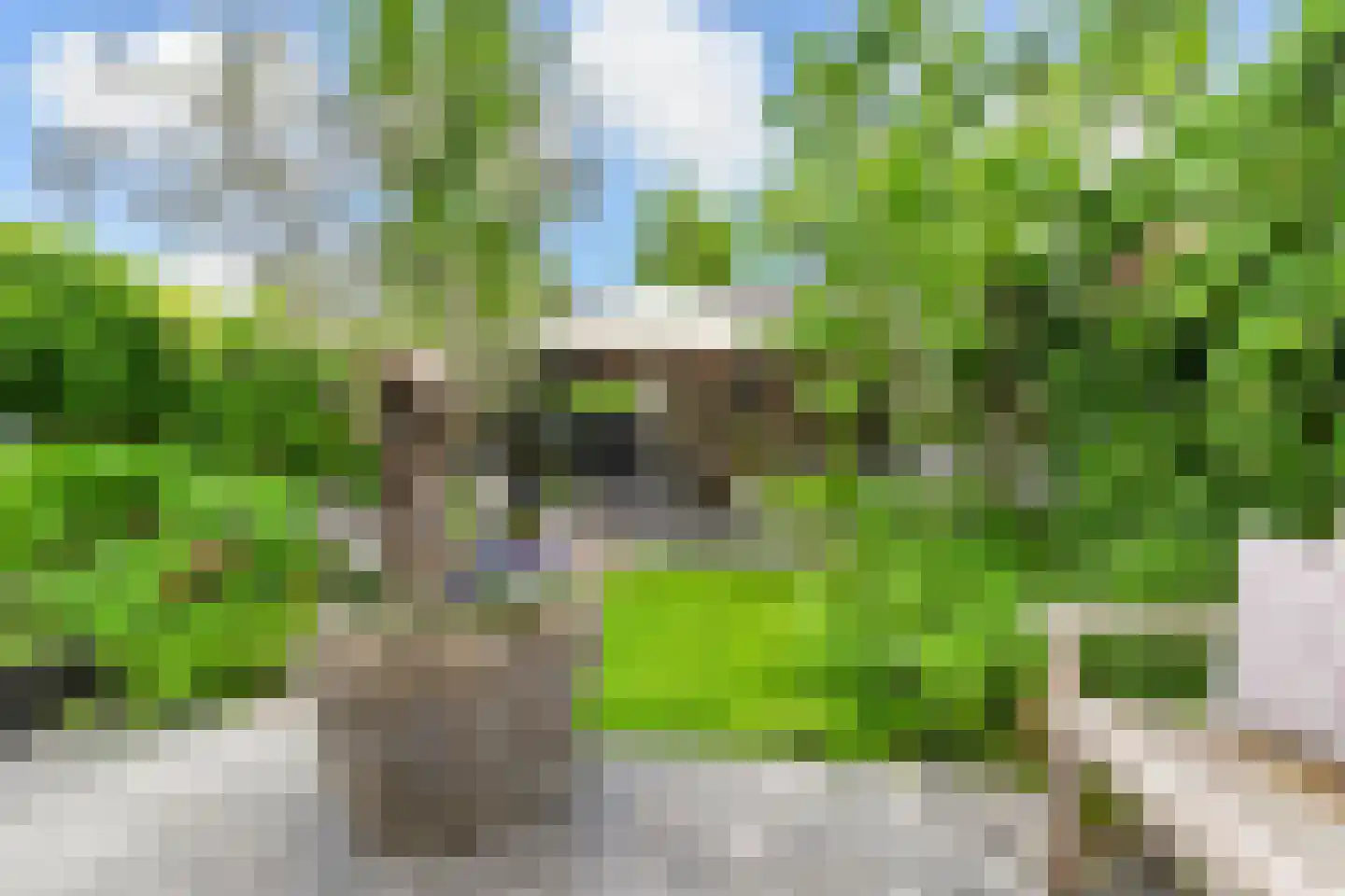 Douschans 9 Zoetermeer thumbnail 20