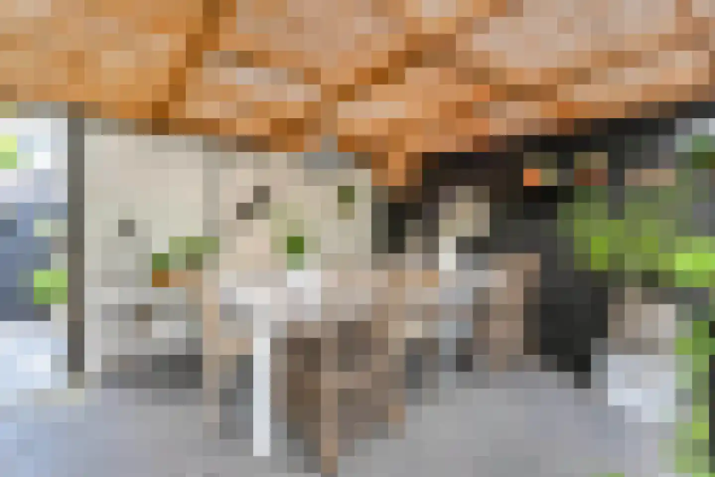 Douschans 9 Zoetermeer thumbnail 23