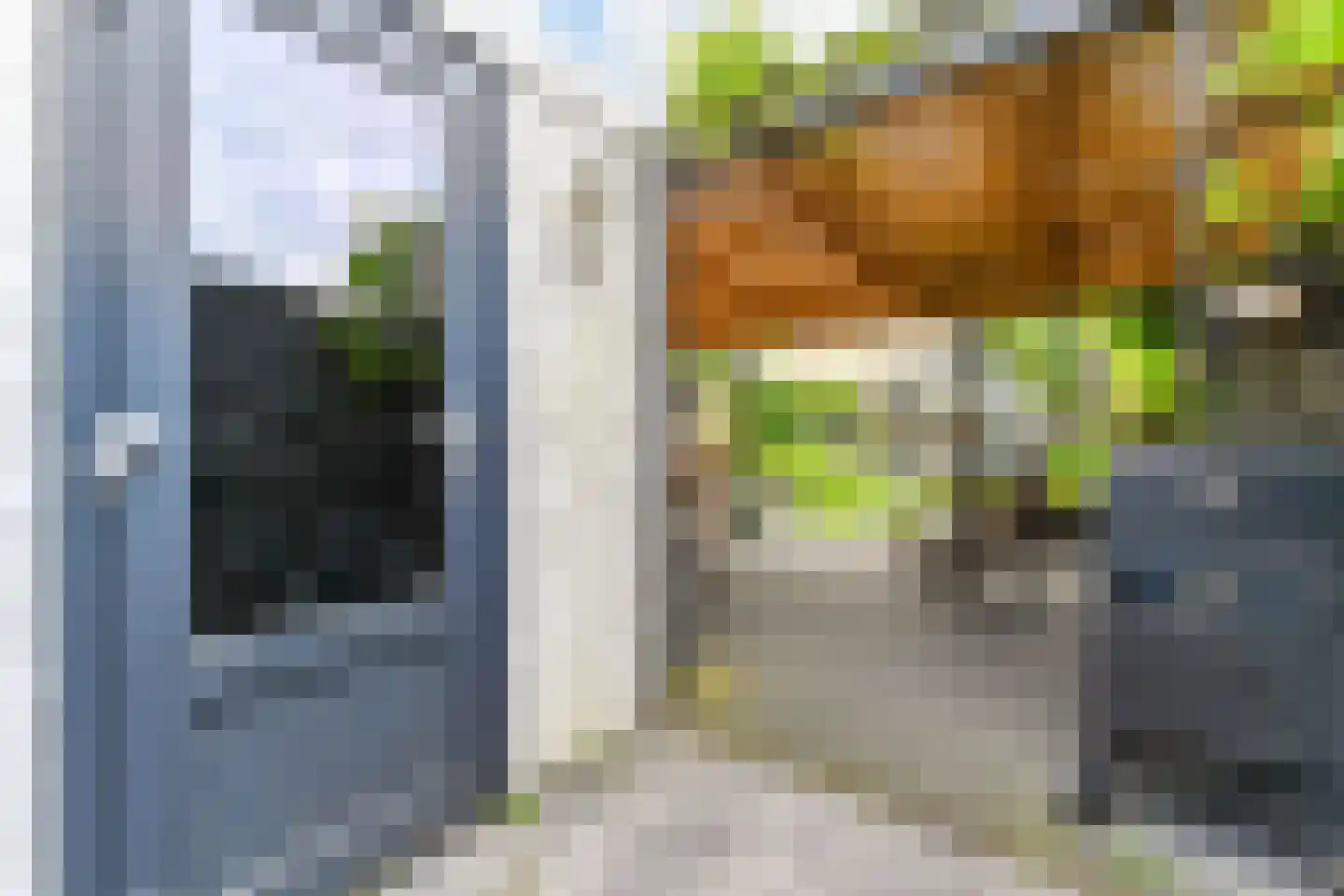 Douschans 9 Zoetermeer thumbnail 25