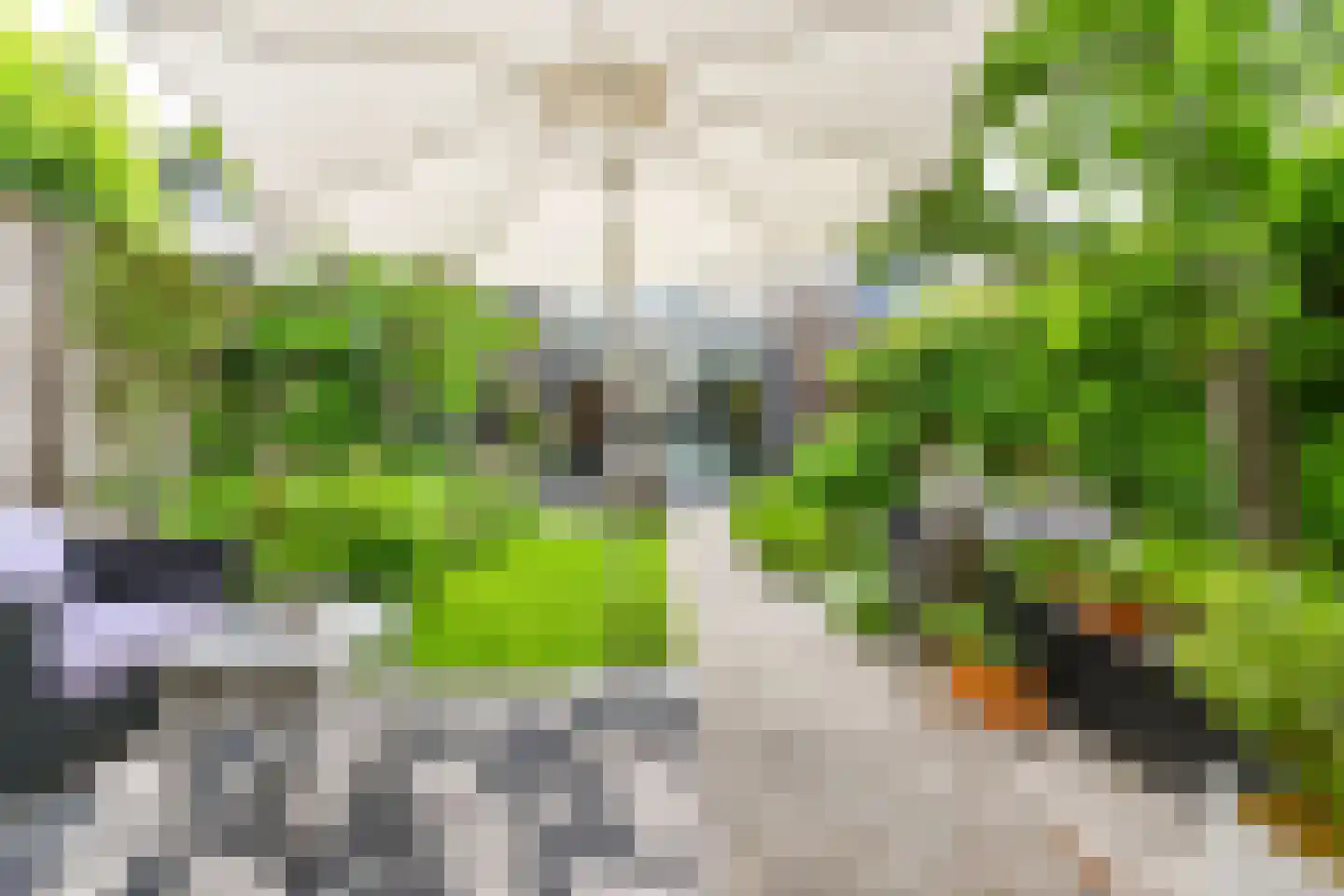Douschans 9 Zoetermeer thumbnail 26