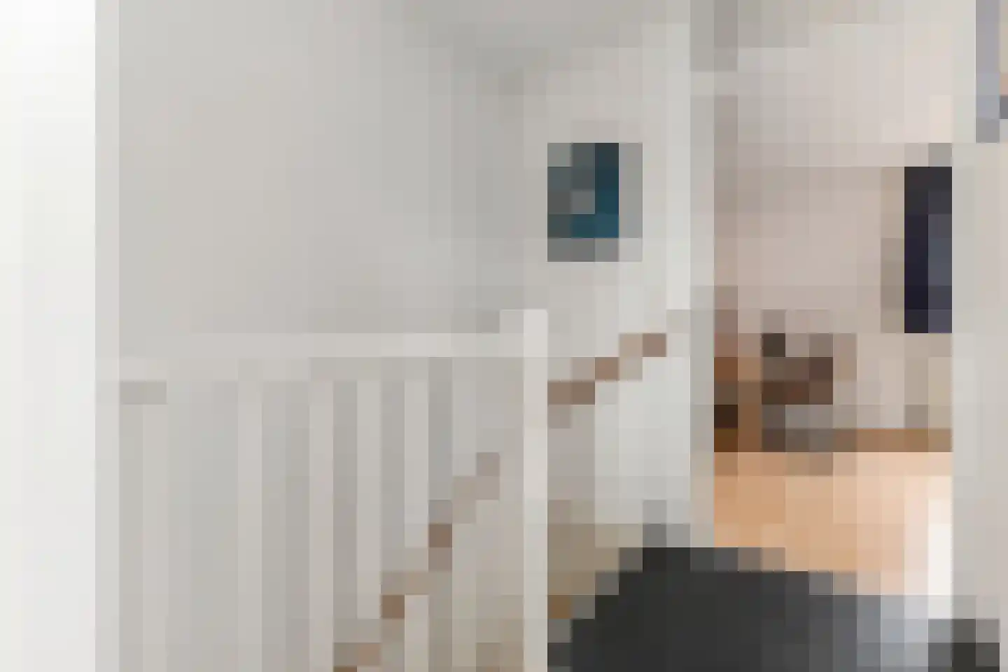 Douschans 9 Zoetermeer thumbnail 29