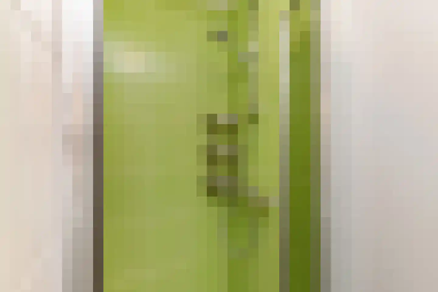 Douschans 9 Zoetermeer thumbnail 41