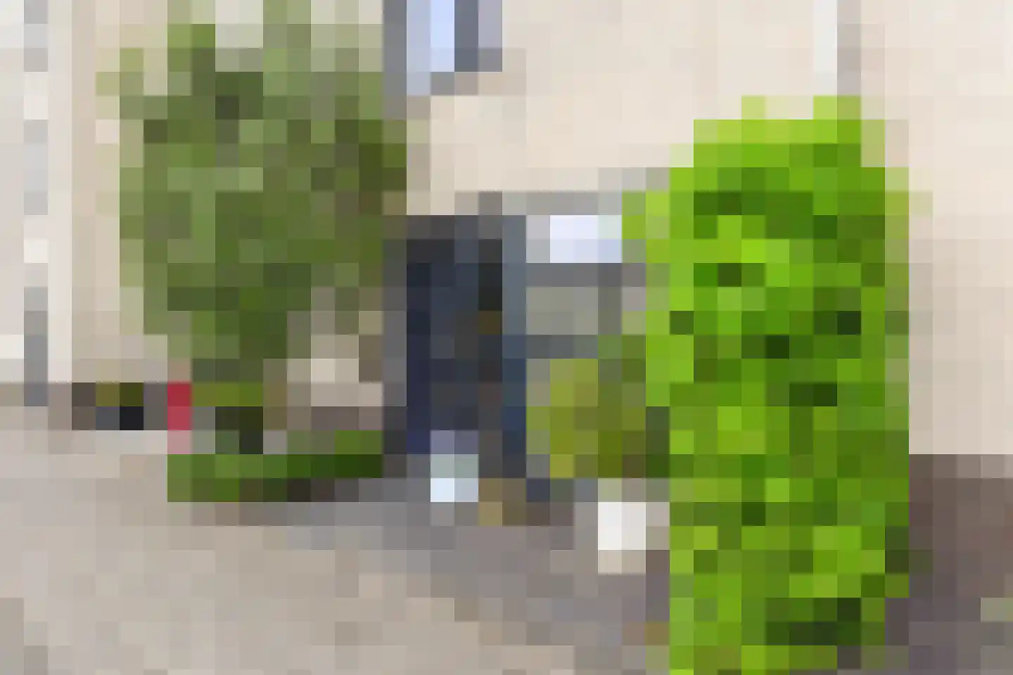 Douschans 9 Zoetermeer thumbnail 6