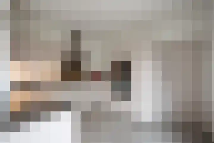Douve Weienstraat 42 Heerlen thumbnail 5