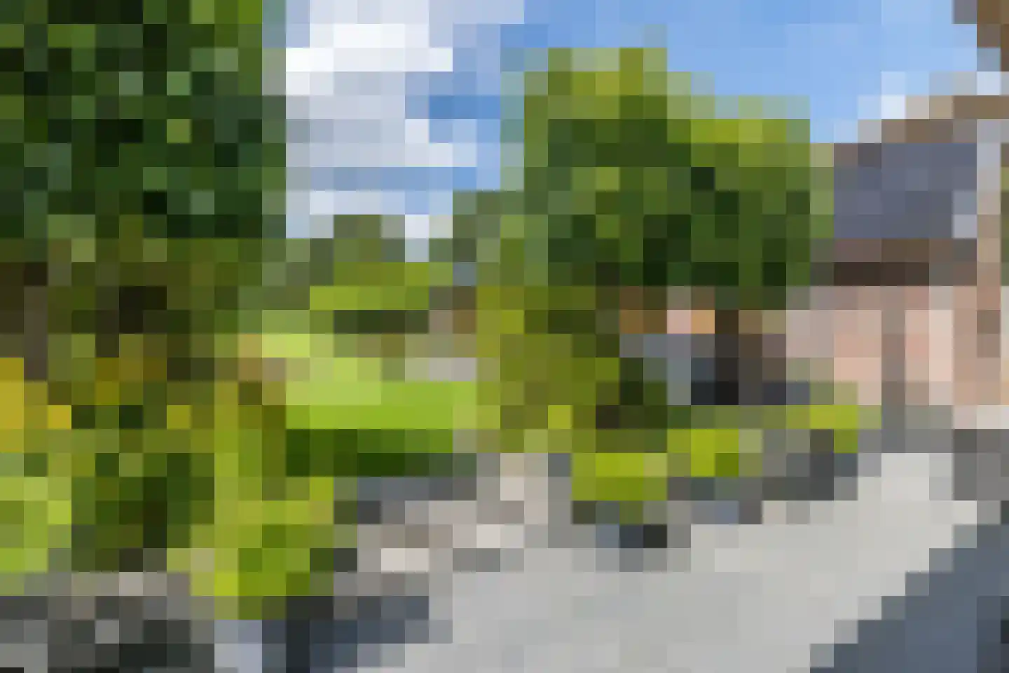Douvenderweg 19 Oirsbeek thumbnail 52