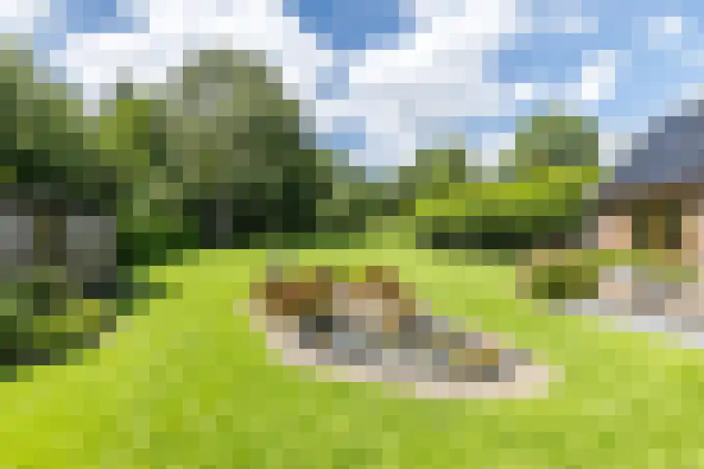 Douvenderweg 19 Oirsbeek thumbnail 53