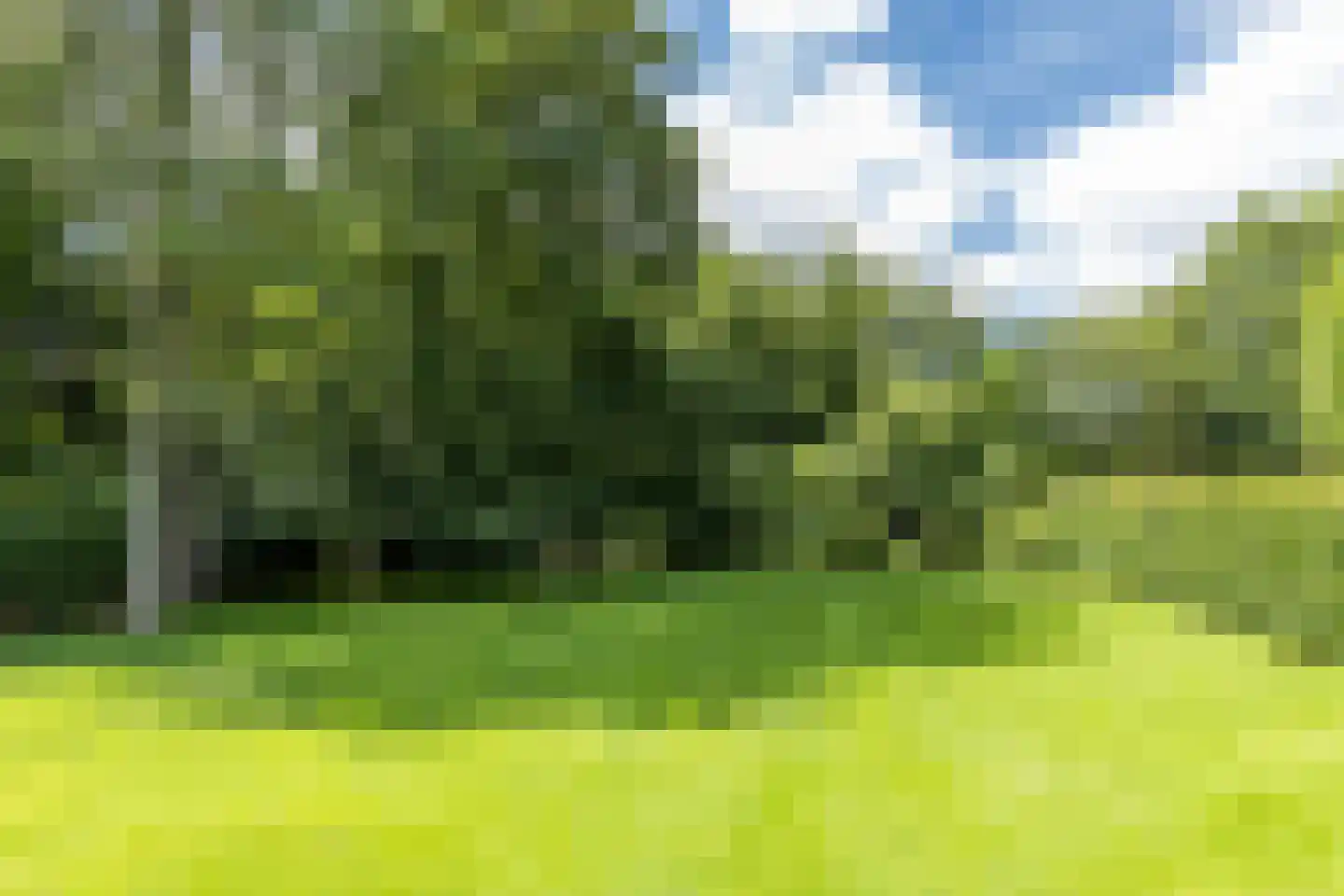 Douvenderweg 19 Oirsbeek thumbnail 55