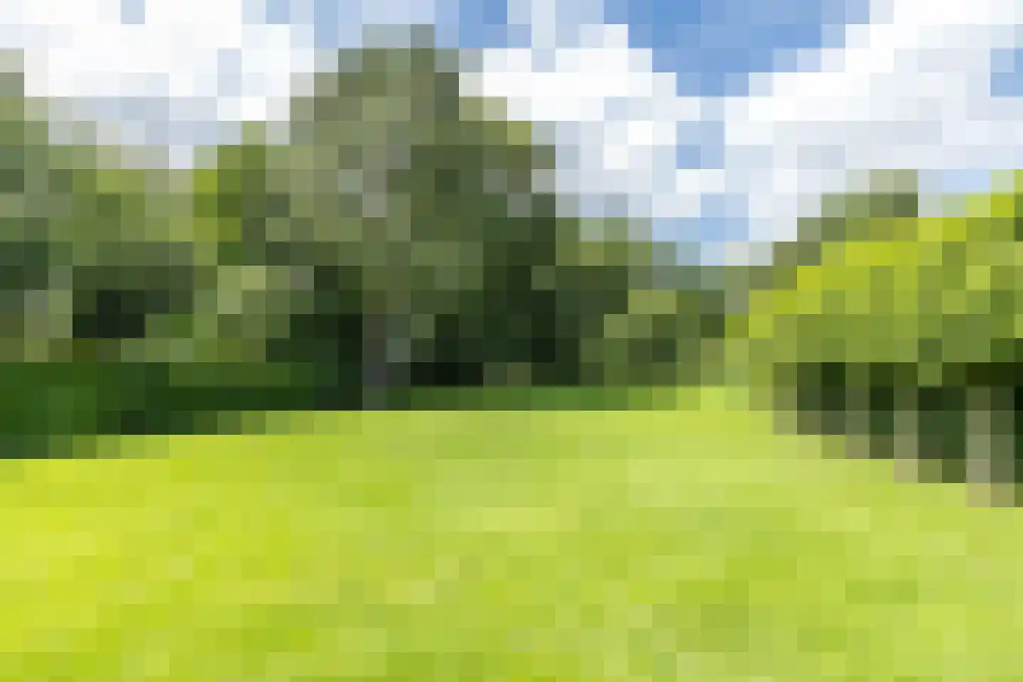 Douvenderweg 19 Oirsbeek thumbnail 6