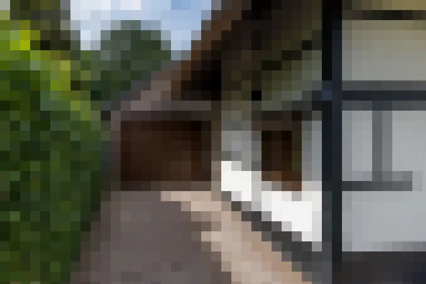 Douvenderweg 19 Oirsbeek thumbnail 70