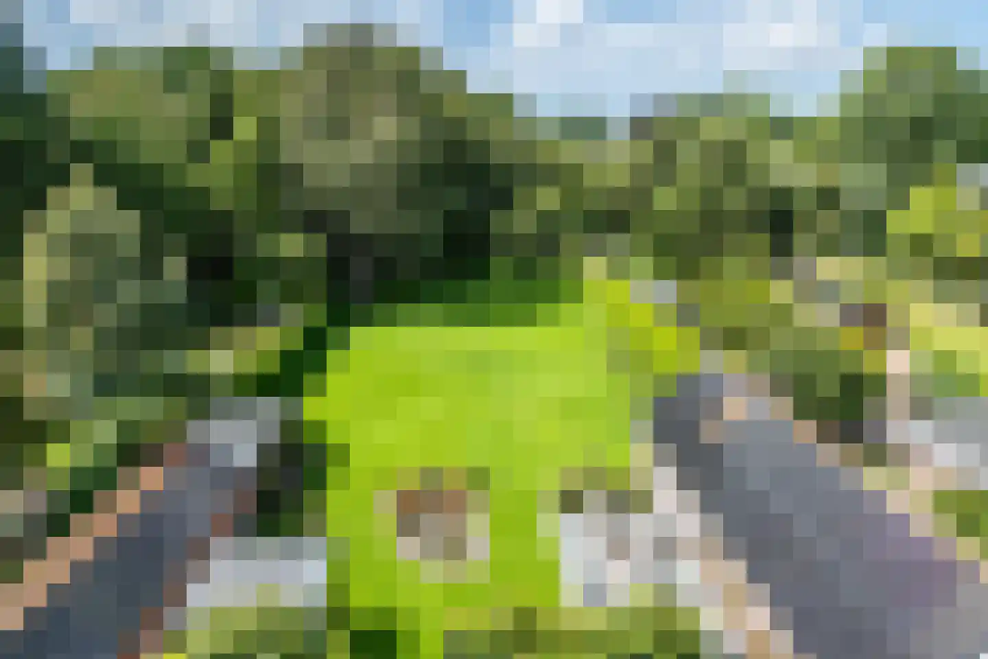 Douvenderweg 19 Oirsbeek thumbnail 74