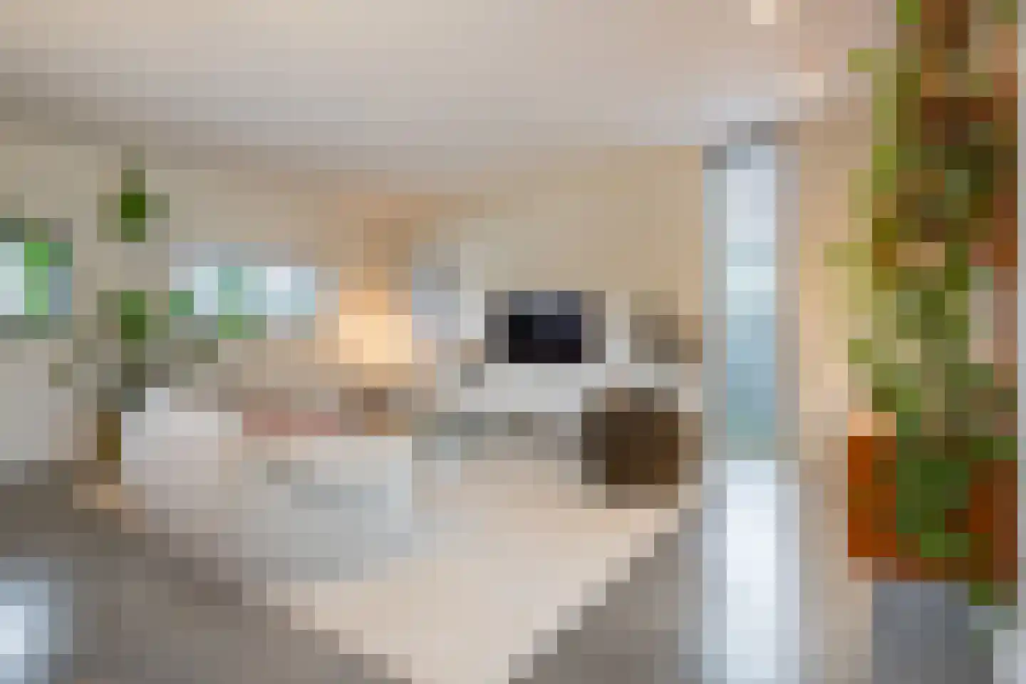 Douvenderweg 25 Oirsbeek thumbnail 12