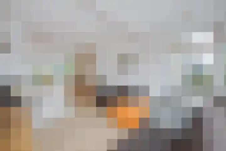 Douw van der Kraplaan 17 Voorschoten thumbnail 10