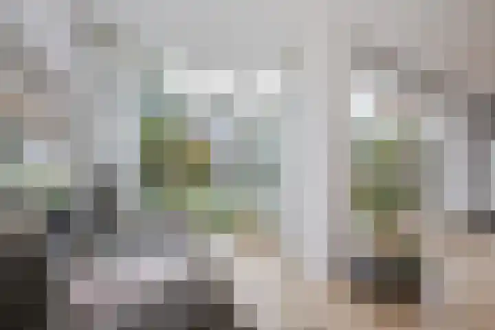 Douw van der Kraplaan 17 Voorschoten thumbnail 18