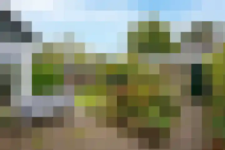 Douw van der Kraplaan 17 Voorschoten thumbnail 19