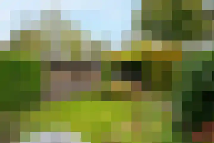 Douw van der Kraplaan 17 Voorschoten thumbnail 21