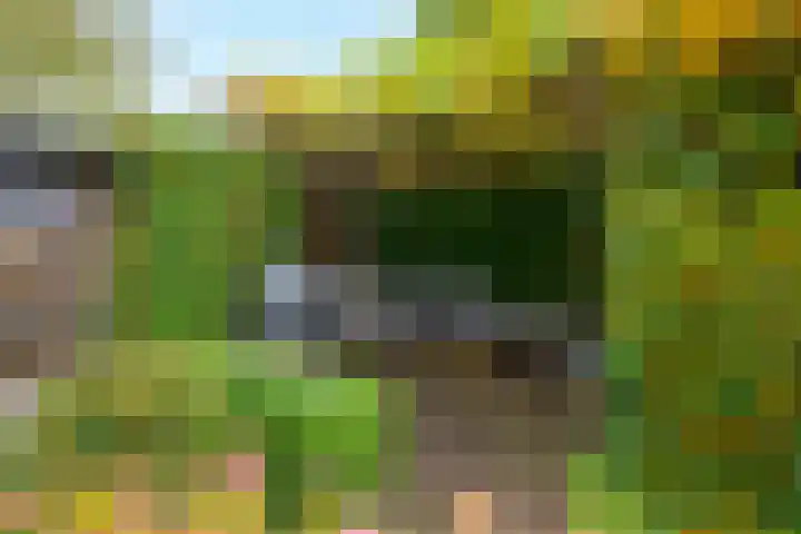 Douw van der Kraplaan 17 Voorschoten thumbnail 24