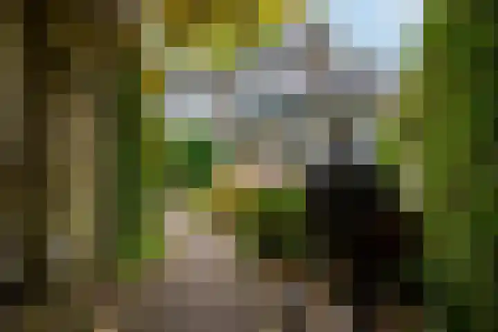Douw van der Kraplaan 17 Voorschoten thumbnail 25