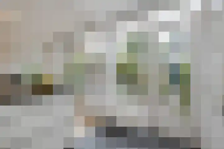 Douw van der Kraplaan 17 Voorschoten thumbnail 30