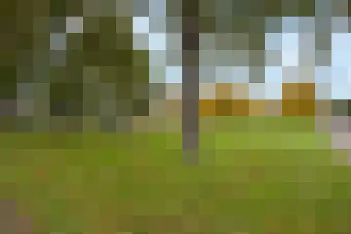 Douw van der Kraplaan 17 Voorschoten thumbnail 45