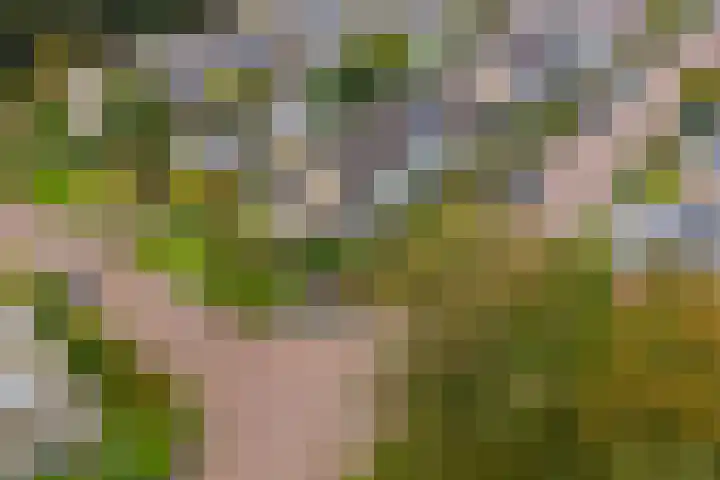 Douw van der Kraplaan 17 Voorschoten thumbnail 48