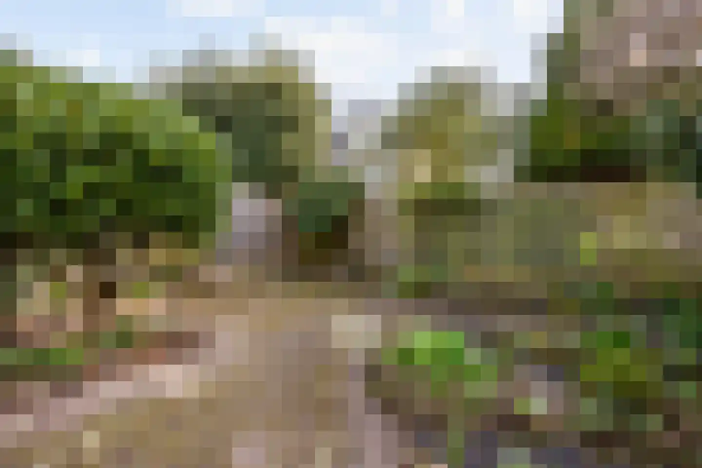 Douw van der Kraplaan 25 Voorschoten thumbnail 31