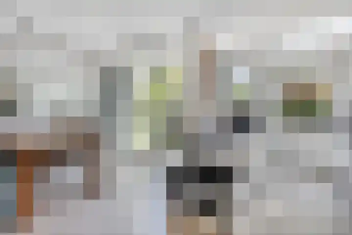 Douw van der Kraplaan 29 Voorschoten thumbnail 11